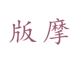 版摩 第9类科学仪器商标图样