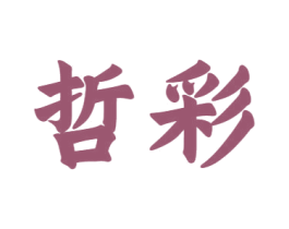 哲彩 第12类运输工具商标图样