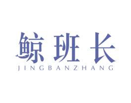 鲸班长 第9类科学仪器商标图样