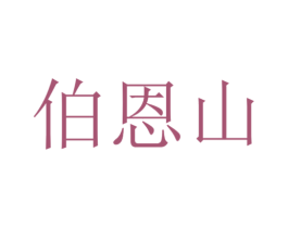 伯恩山 第9类科学仪器商标图样