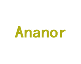 ANANOR 第27类地毯席垫商标图样