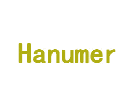 HANUMER 第14类珠宝钟表商标图样