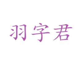 羽字君 第16类办公工具商标图样