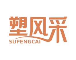 塑风采 第10类医疗器械商标图样