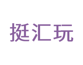 挺汇玩 第9类科学仪器商标图样