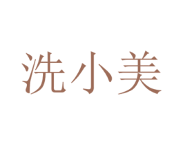 洗小美 第9类科学仪器商标图样