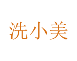 洗小美 第17类橡胶制品商标图样