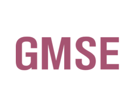 GMSE 第9类科学仪器商标图样