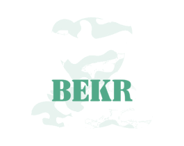 BEKR 第25类服装鞋帽商标图样