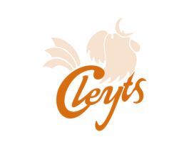 CLEYTS 第25类服装鞋帽商标图样