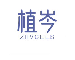 植岑 ZIIVCELS 第25类服装鞋帽商标图样