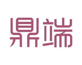 鼎端 第10类医疗器械商标图样