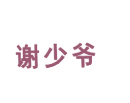 谢少爷 第35类广告贸易商标图样