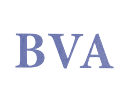 BVA 第25类服装鞋帽商标图样