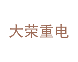 大荣重电 第9类科学仪器商标图样