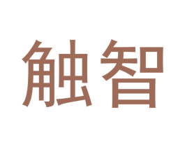 触智 第12类运输工具商标图样