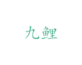 九鲤 第18类皮革箱包商标图样