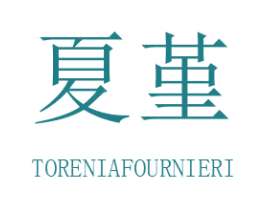 夏堇 TORENIAFOURNIERI 第43类餐饮酒店商标图样