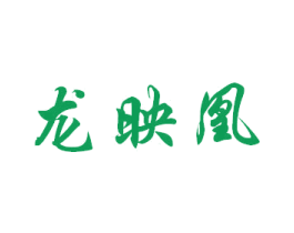 龙映凰 第18类皮革箱包商标图样