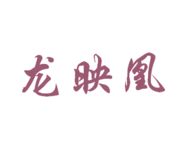 龙映凰 第25类服装鞋帽商标图样