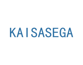 KAISASEGA 第9类科学仪器商标图样