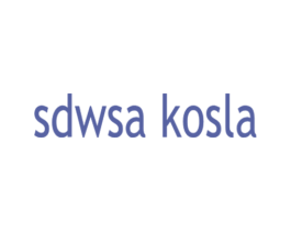 SDWSA KOSLA 第18类皮革箱包商标图样