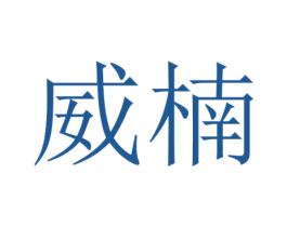 威楠 第25类服装鞋帽商标图样