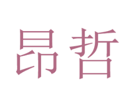昂哲 第20类家具商标图样