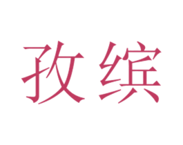 孜缤 第25类服装鞋帽商标图样