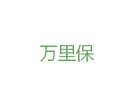 万里保 第12类运输工具商标图样