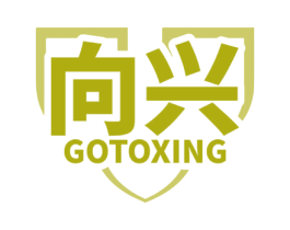 向兴 GOTOXING 第10类医疗器械商标图样