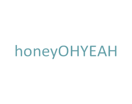 HONEYOHYEAH 第9类科学仪器商标图样