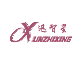 迅智星 第38类通讯传媒商标图样