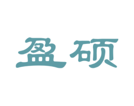 盈硕 第27类地毯席垫商标图样