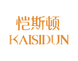 恺斯顿 第11类家用电器商标图样