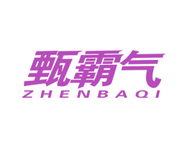 甄霸气 第30类小食配料商标图样