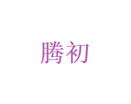 腾初 第6类五金金属商标图样