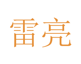 雷亮 第6类五金金属商标图样