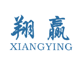 翔赢 第6类五金金属商标图样