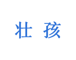 壮孩 第5类医药商标图样