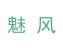 魅风 第12类运输工具商标图样