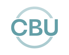 CBU 第17类橡胶制品商标图样