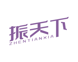 振天下 第9类科学仪器商标图样