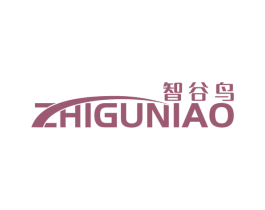 智谷鸟 第9类科学仪器商标图样
