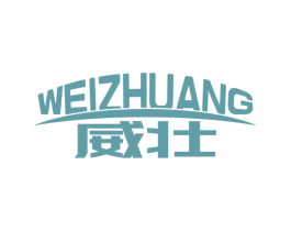 威壮 第9类科学仪器商标图样
