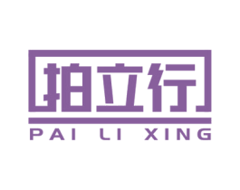 拍立行 第9类科学仪器商标图样