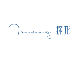 探形 第25类服装鞋帽商标图样