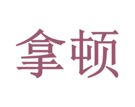 拿顿 第29类食品商标图样