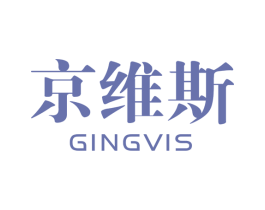 京维斯 GINGVIS 第9类科学仪器商标图样