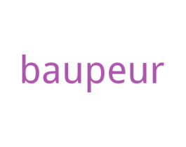 BAUPEUR 第25类服装鞋帽商标图样